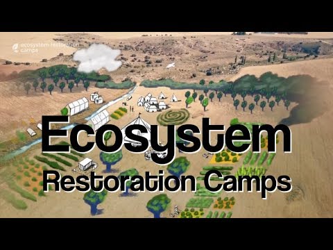 Ecosystem Restoration Camps